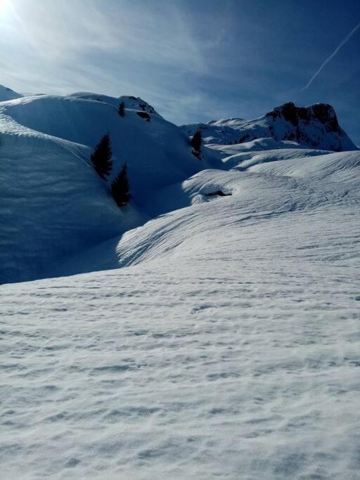 L'Appartement Les Bossons En Lisiere De Foret Dans Le Chalet Genepi อาเรชส์ ภายนอก รูปภาพ