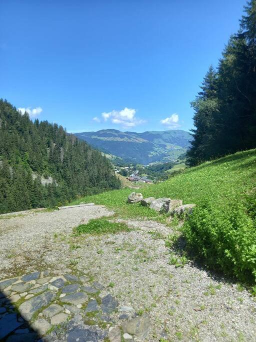 L'Appartement Les Bossons En Lisiere De Foret Dans Le Chalet Genepi อาเรชส์ ภายนอก รูปภาพ